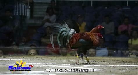 sabongtv|Expert Sabong Lessons with RA Superfly Masterclass .